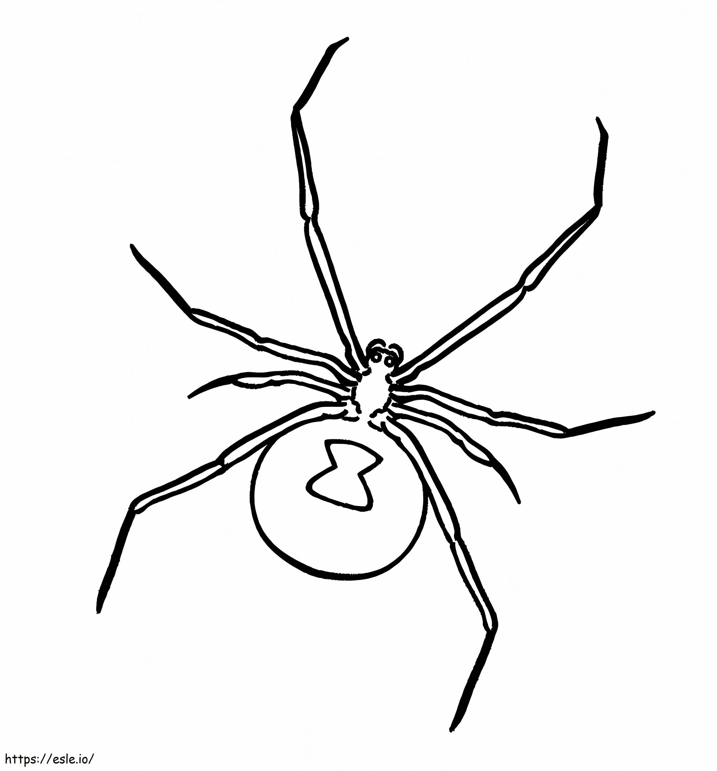 Die Spinne ist zurück ausmalbilder