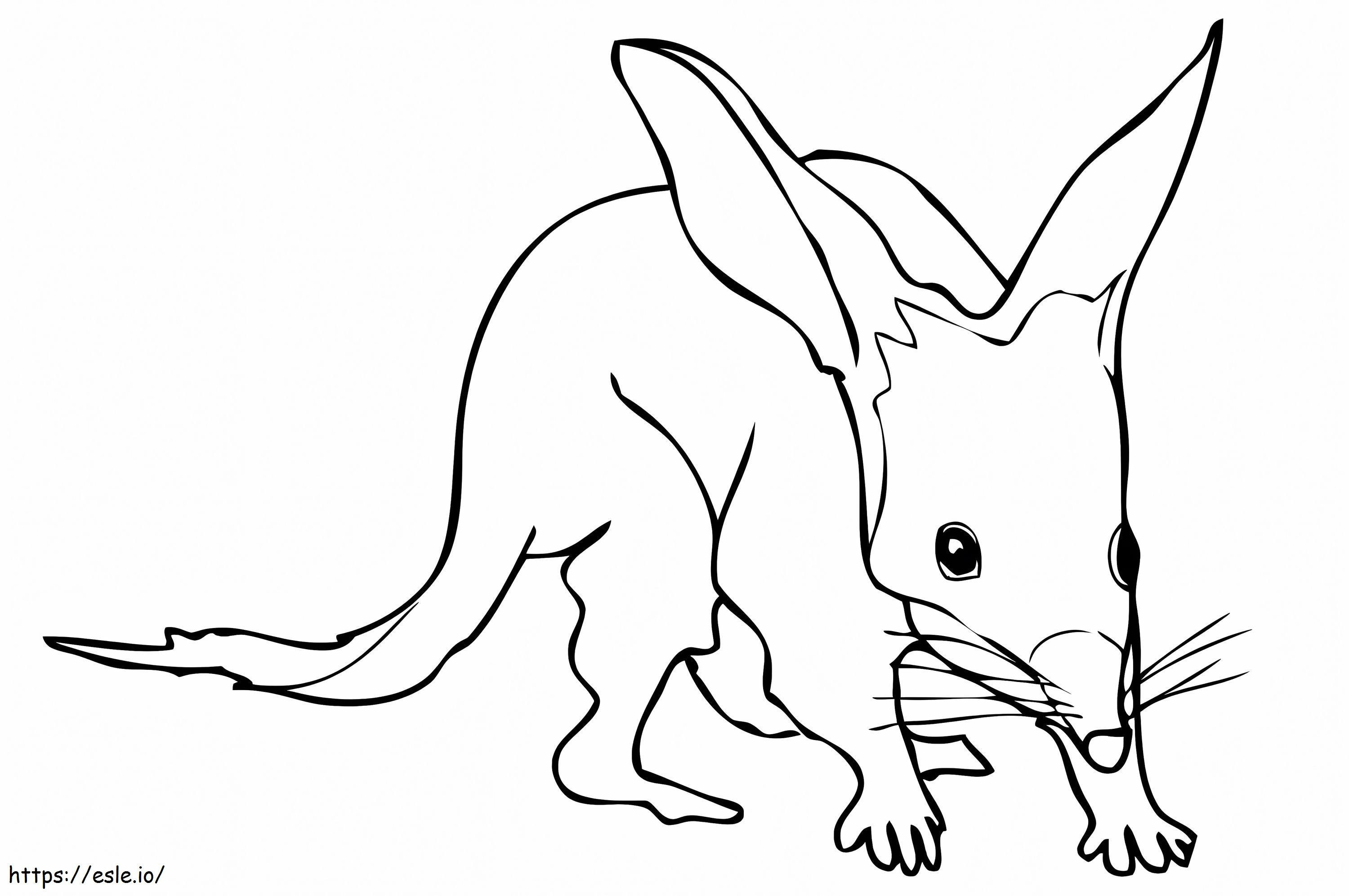 Free Bilby coloring page