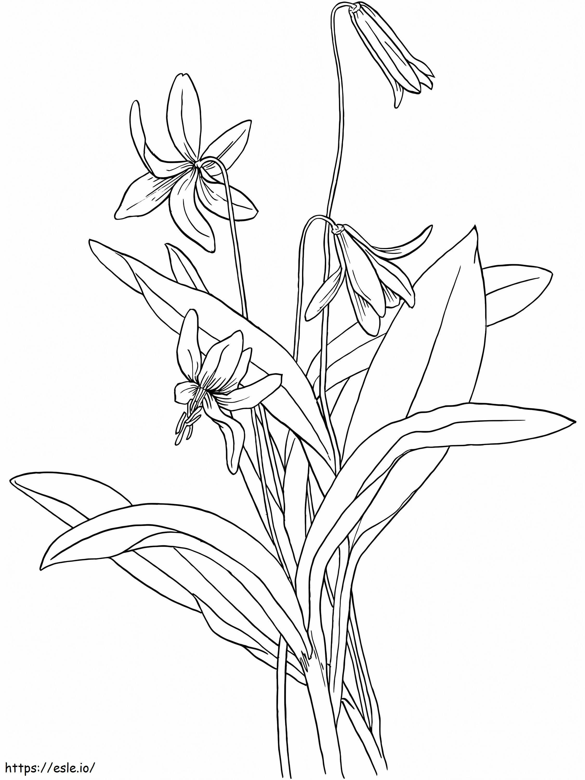 Coloriage Fleur De Violettes 1 à imprimer dessin