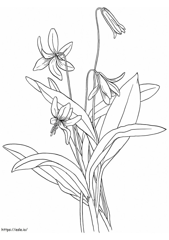スミレの花 1 ぬりえ - 塗り絵