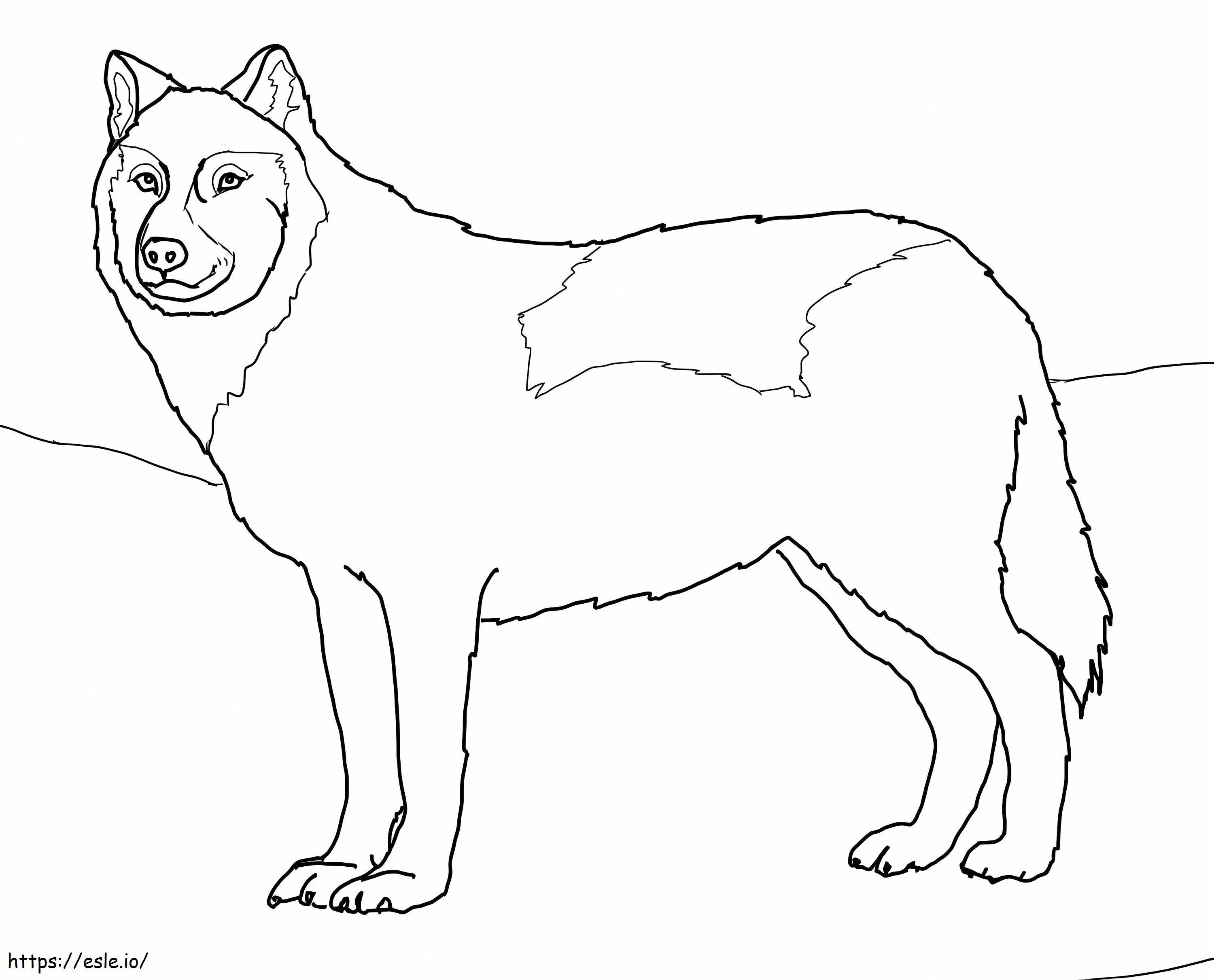 lobo branco ártico para colorir