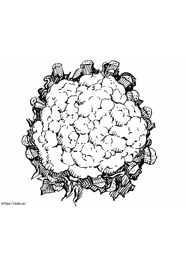 Cauliflower Free Printable coloring page