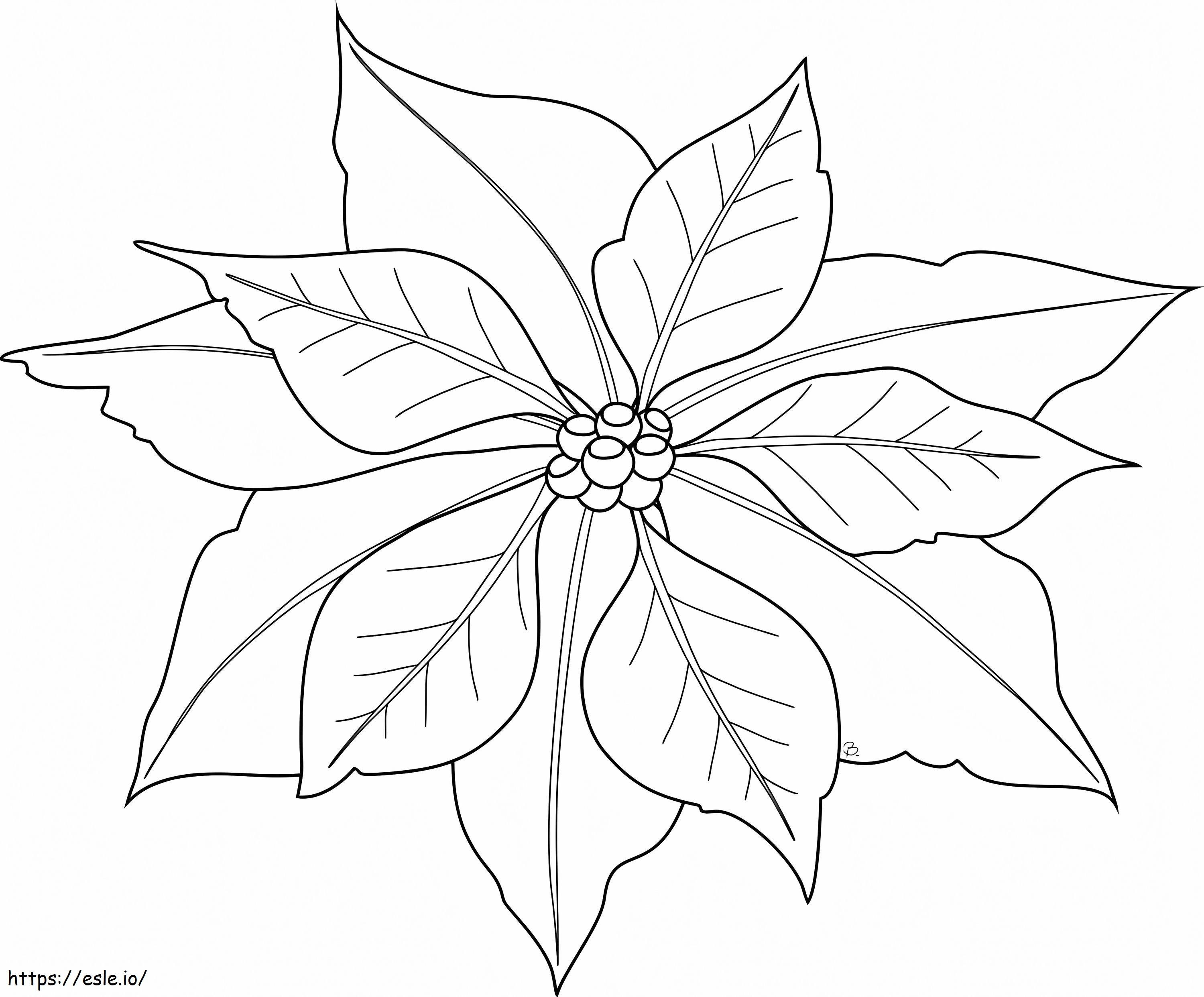 Beautiful Poinsettia coloring page