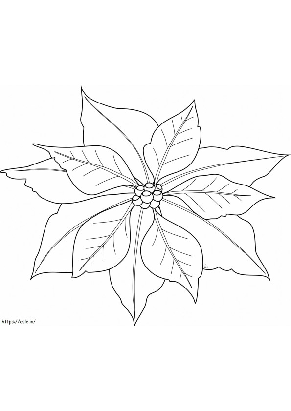 Beautiful Poinsettia coloring page