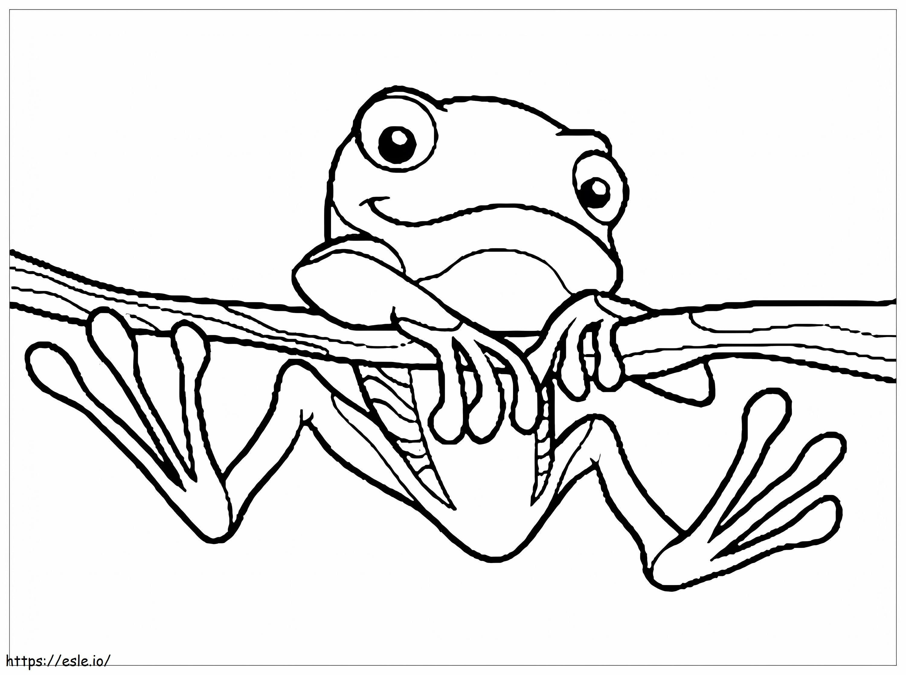 Cute Frog Climbing Tree Branch coloring page