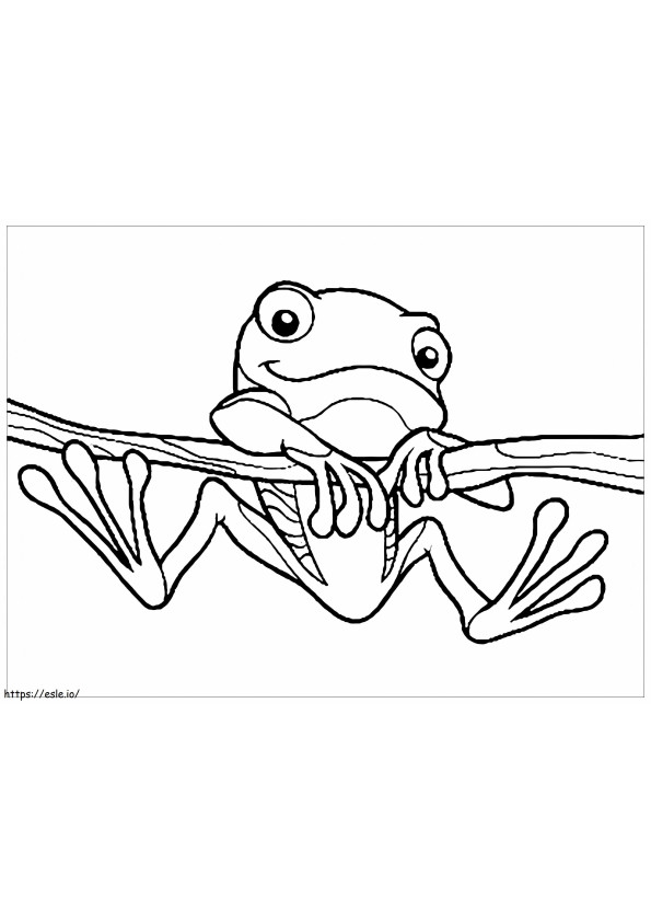 Niedlicher Frosch, der auf einen Ast klettert ausmalbilder