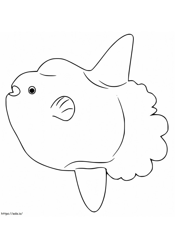 Print Sunfish coloring page