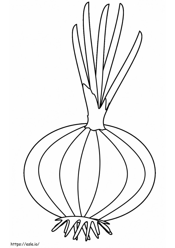Onion A4 coloring page