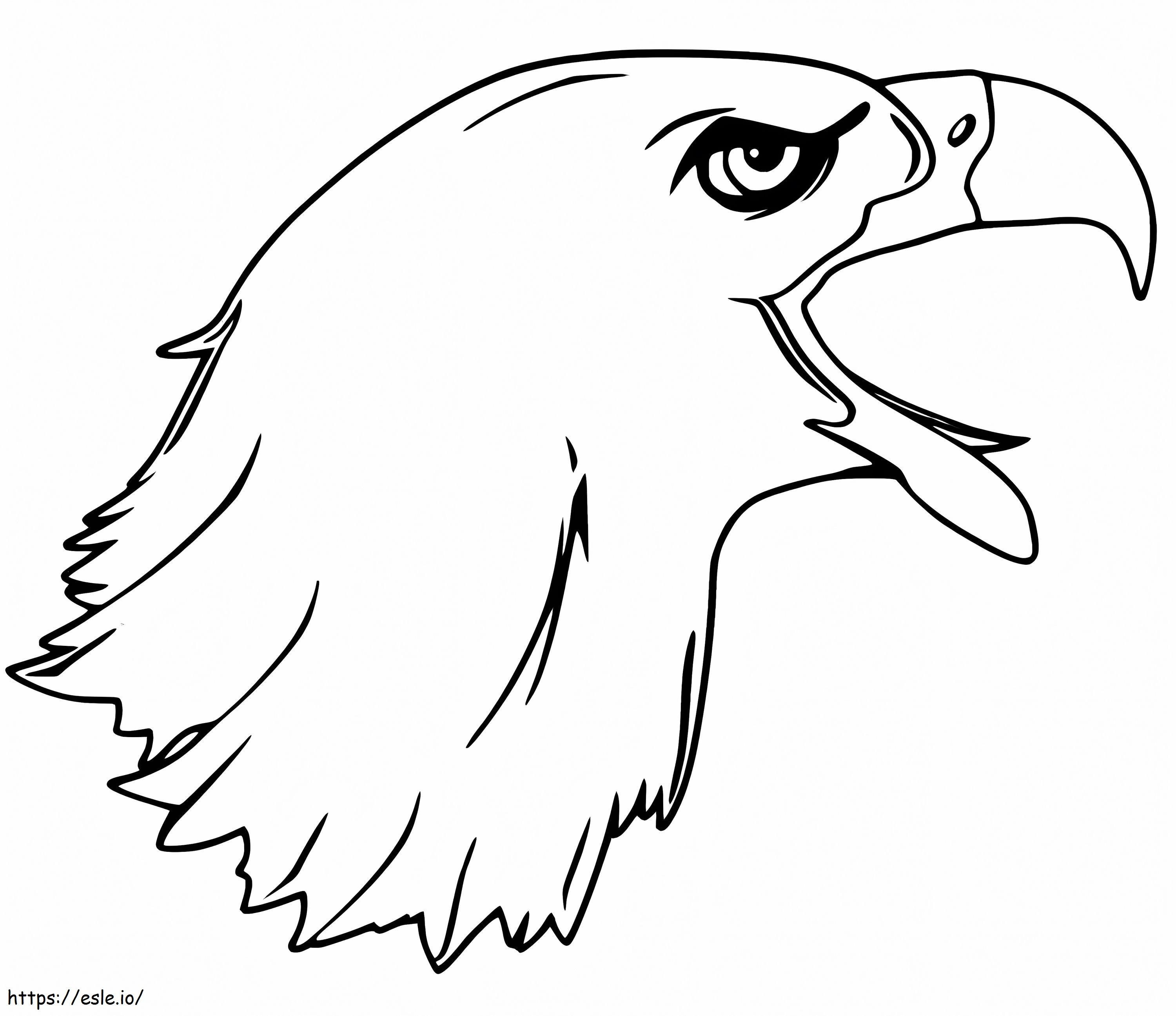 cabeça de águia careca para colorir