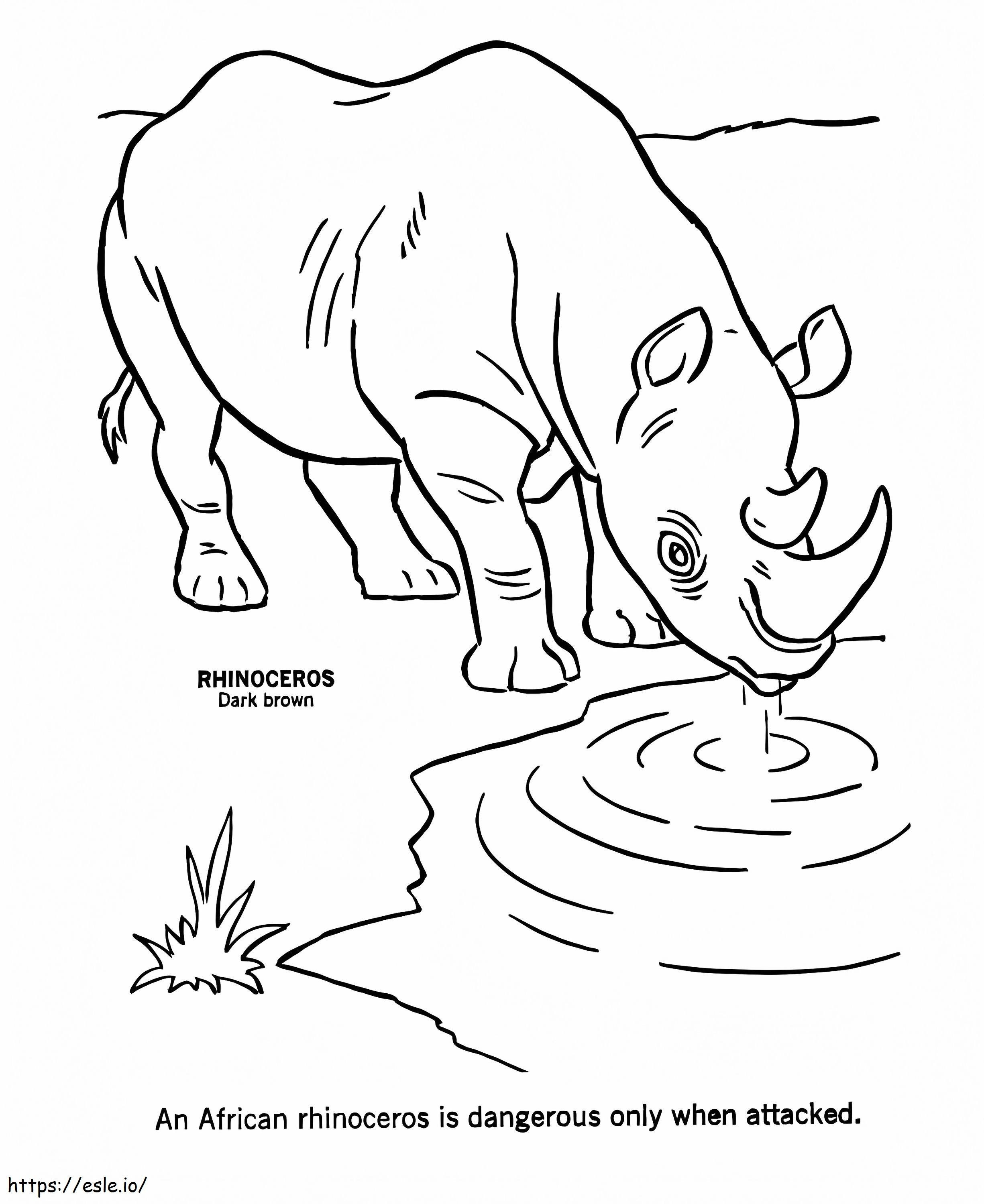 Coloriage Rhinocéros d'Afrique 1 à imprimer dessin