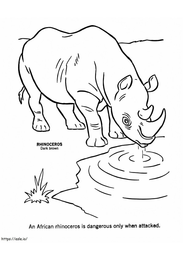 African Rhino 1 coloring page