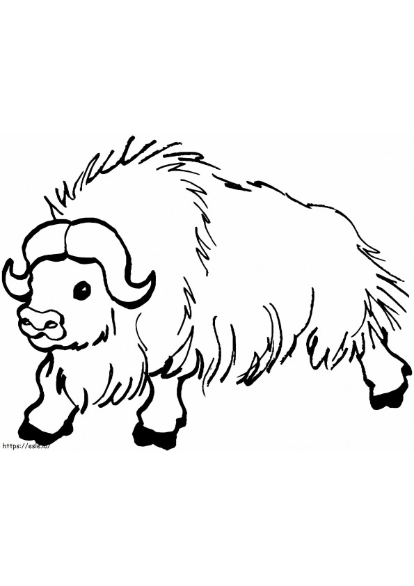 Wild Yak coloring page