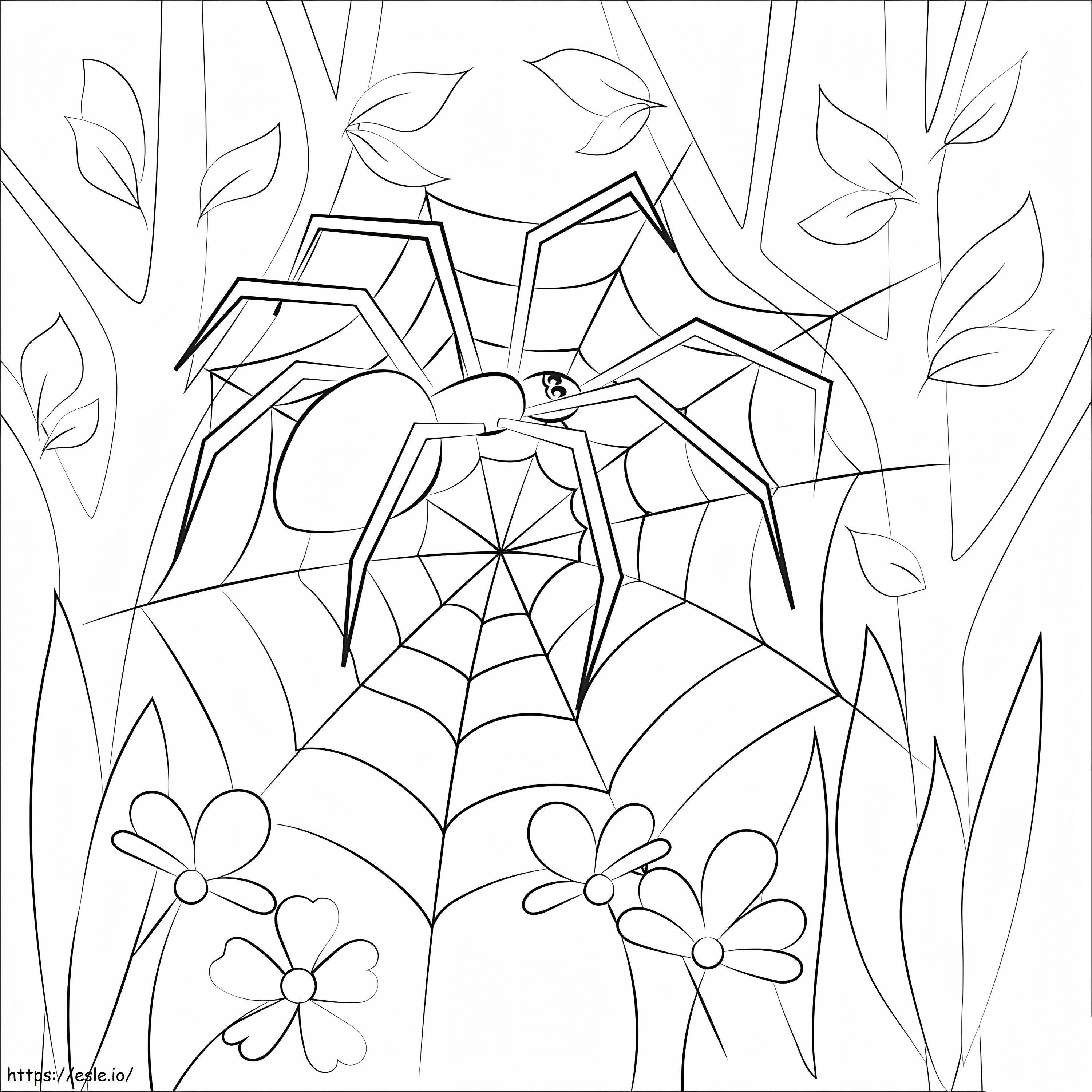 Spider To Print coloring page
