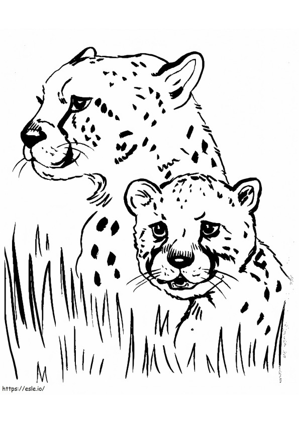Kaksinaamainen gepardi värityskuva