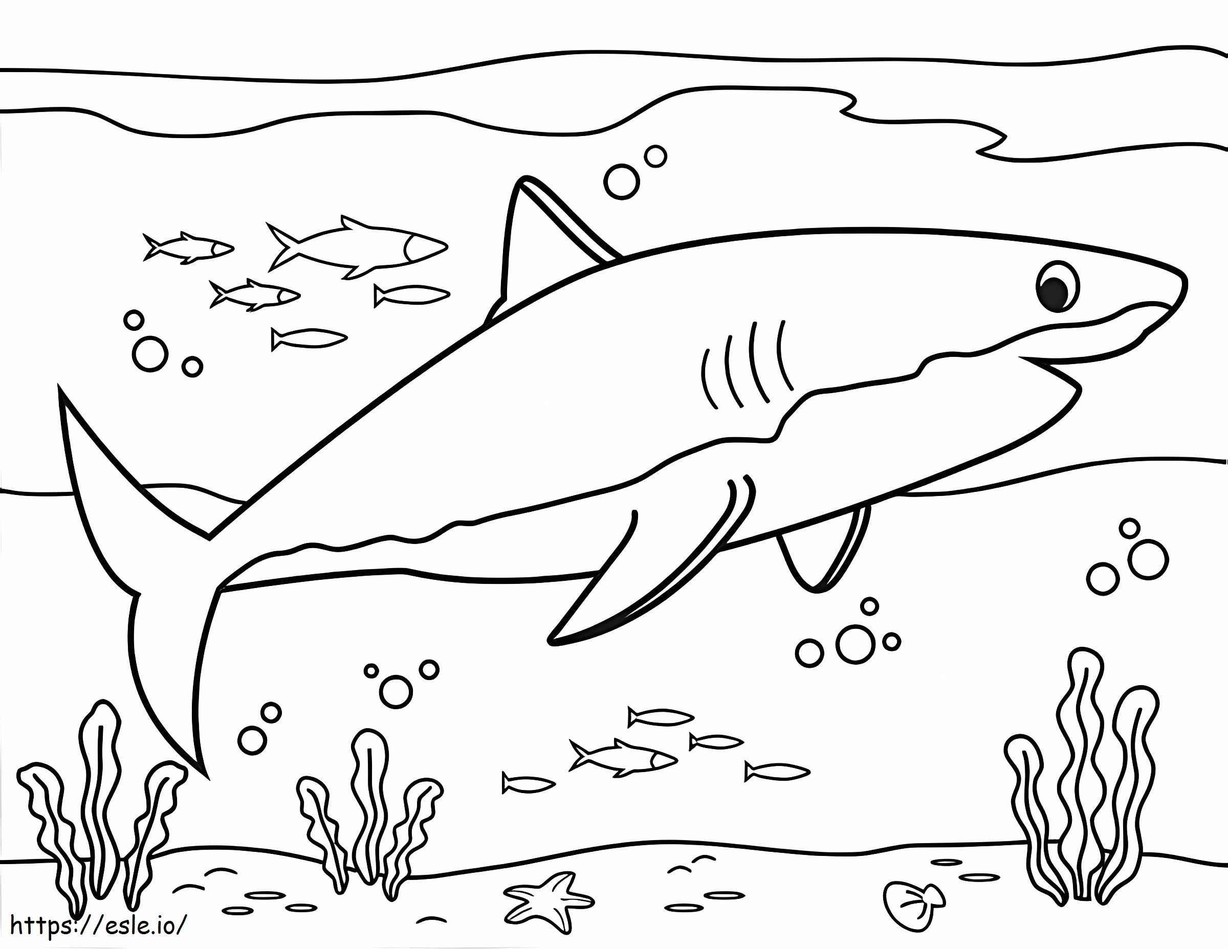 Shark Swimming coloring page