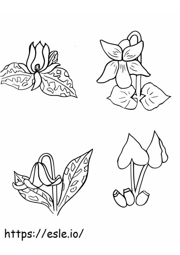 Instituto Tremont coloring page