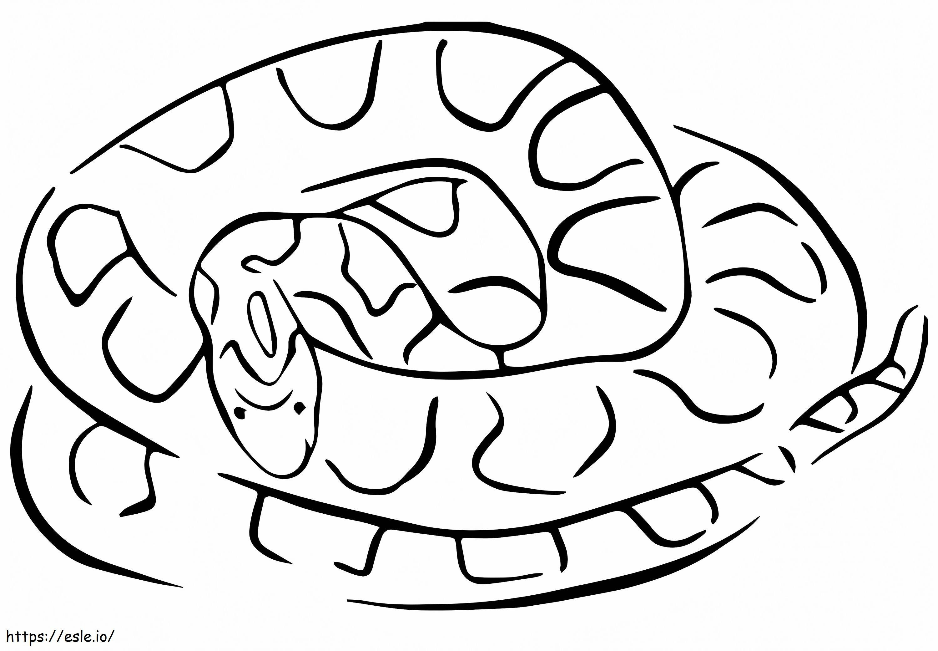 Wąż zbożowy kolorowanka