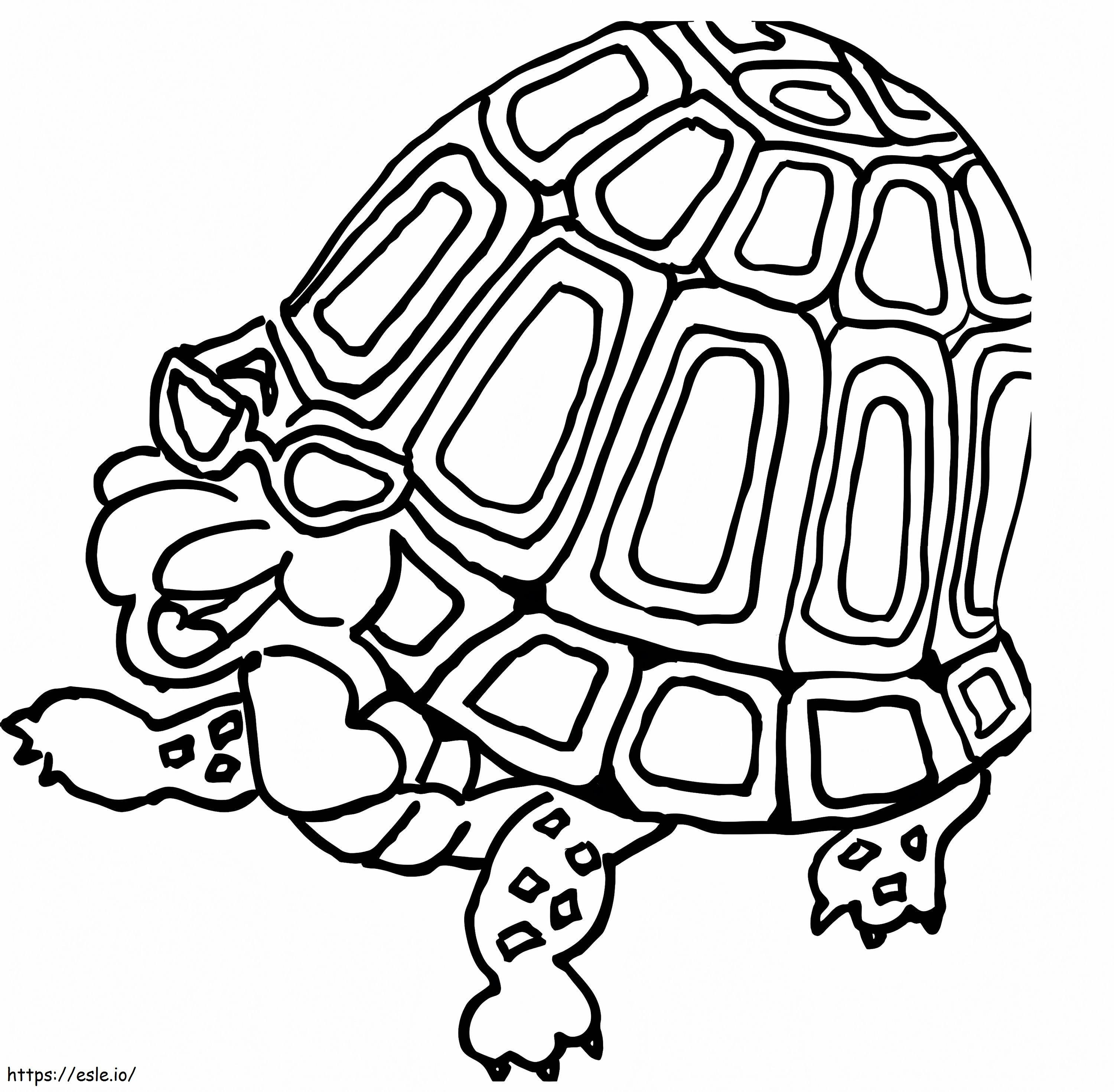 tartaruga divertida para colorir