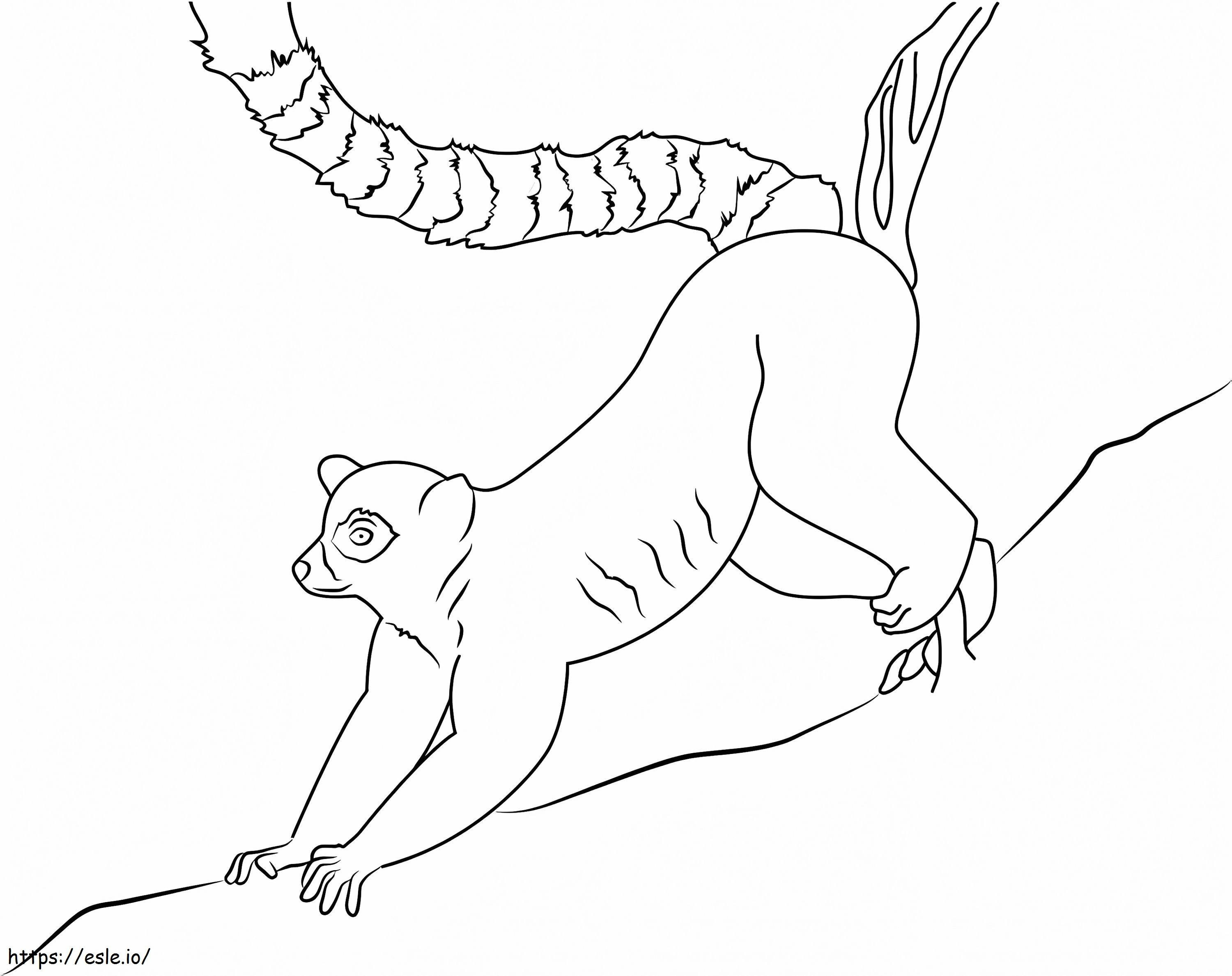 Lemur Ring coloring page