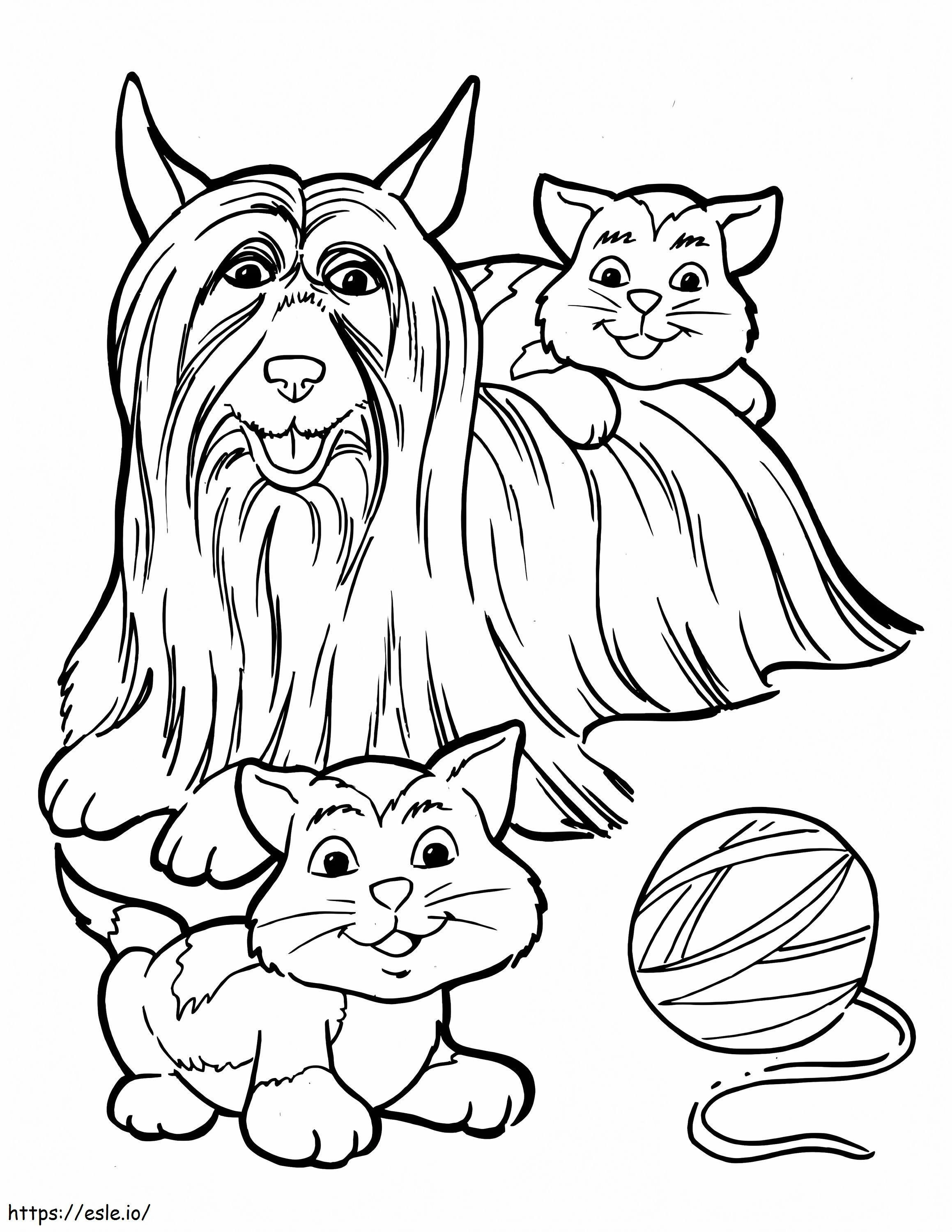Coloriage Chien et chatons à imprimer dessin