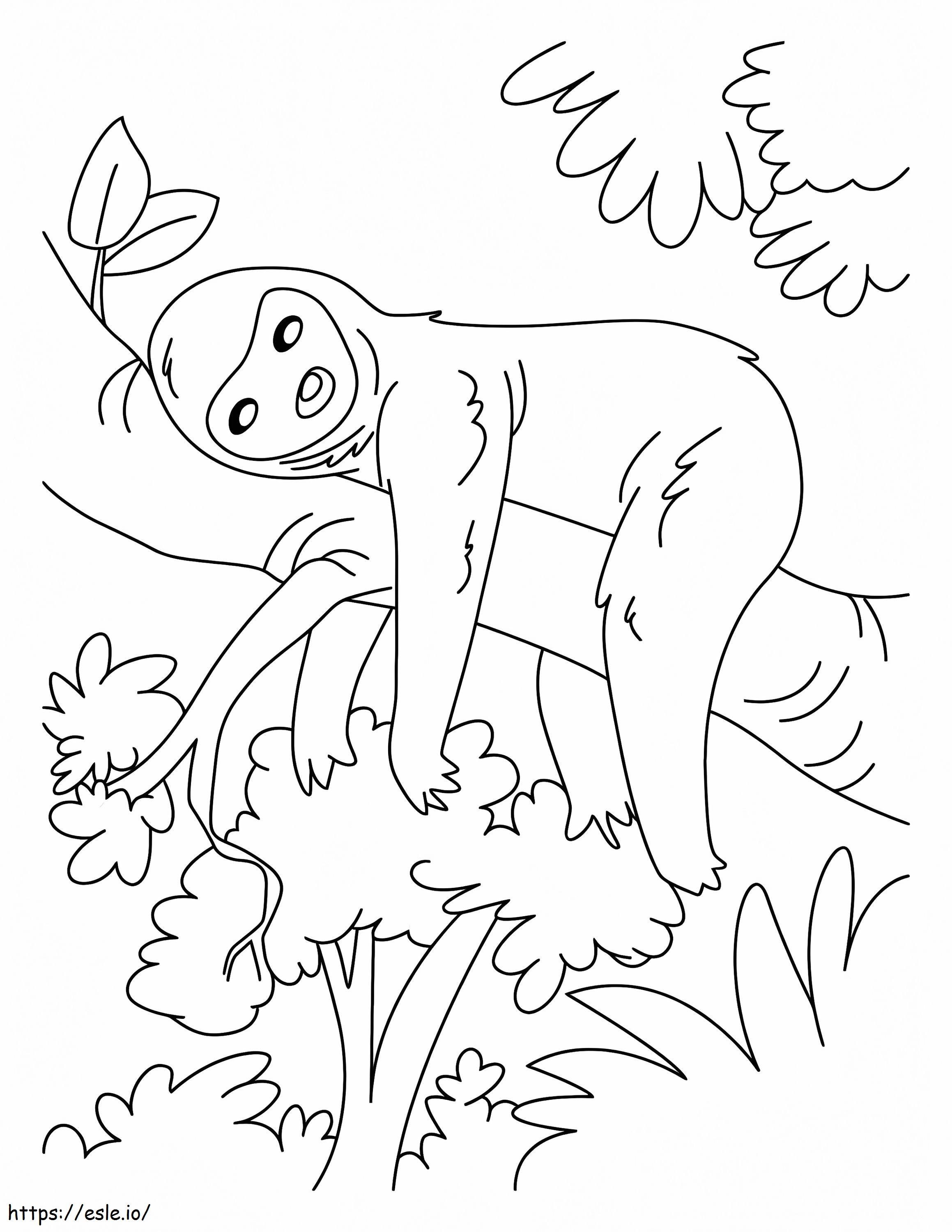 Sloth 1 coloring page