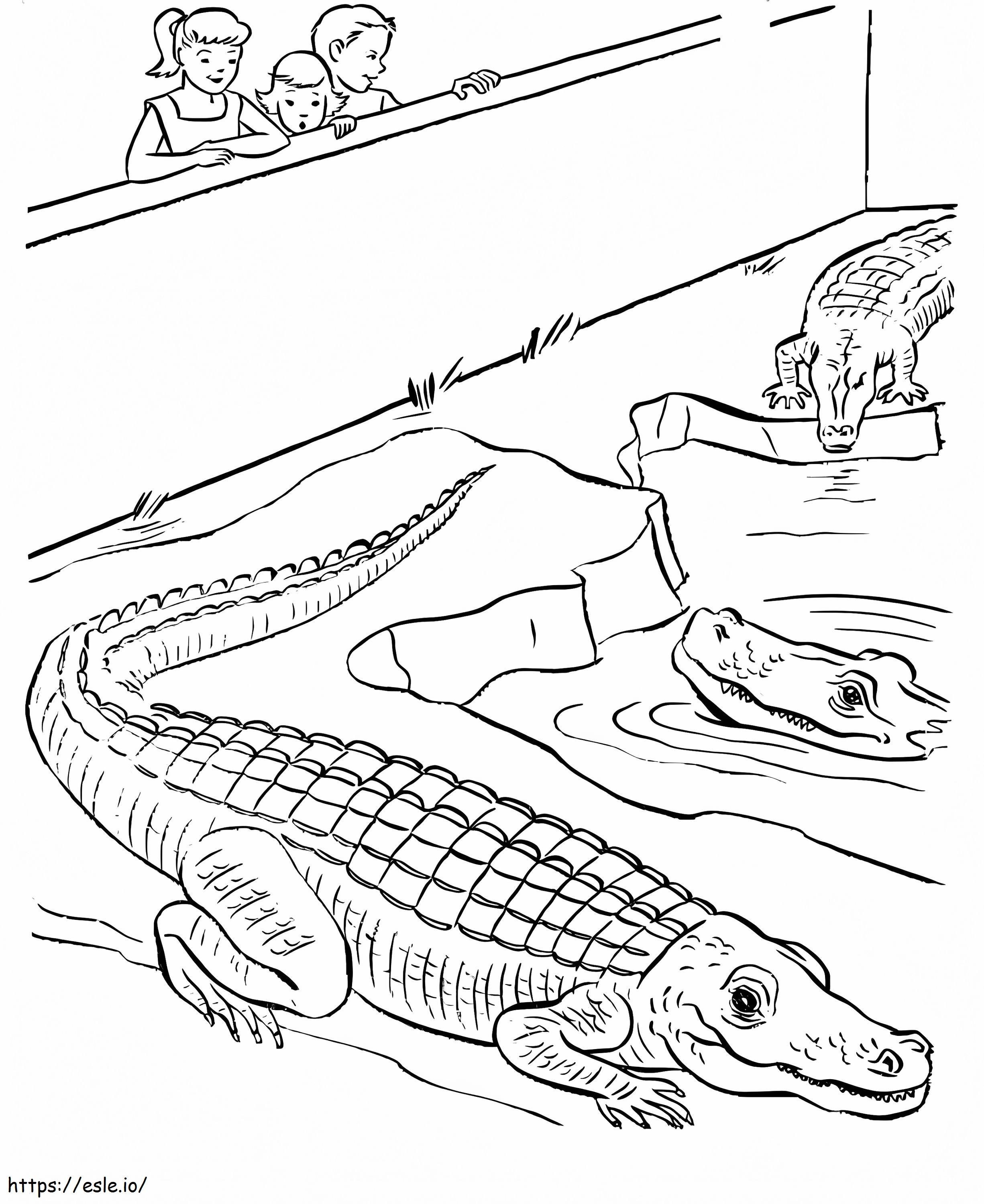 Three Crocodiles In The Zoo coloring page