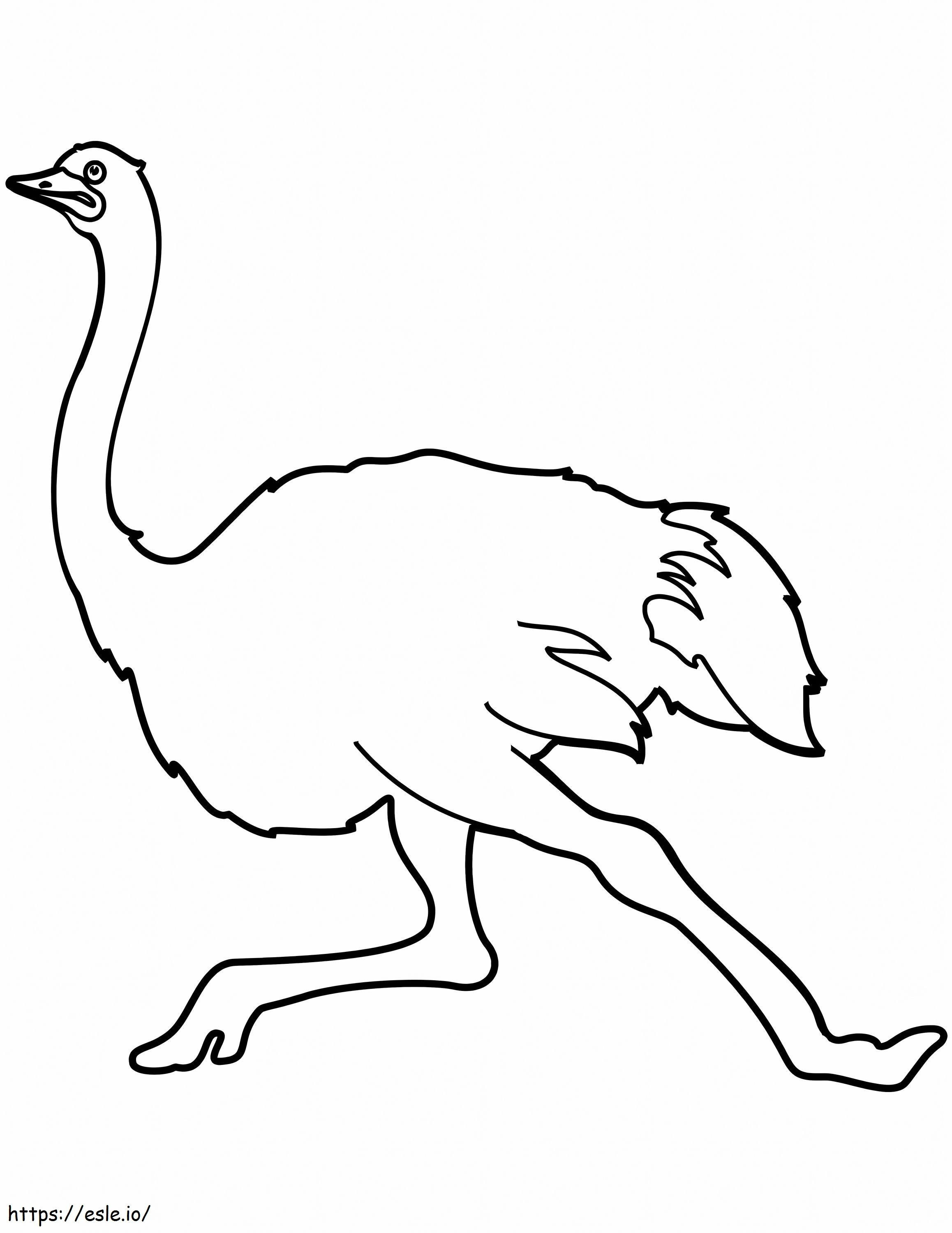Lopende struisvogel kleurplaat kleurplaat