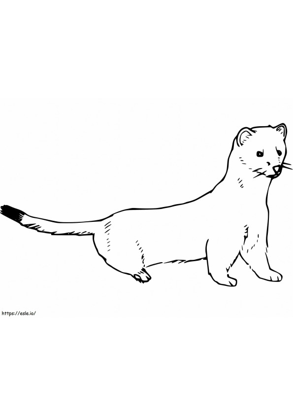 Mink Printable coloring page