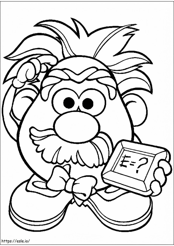 Mr. Potato Head Einstein
