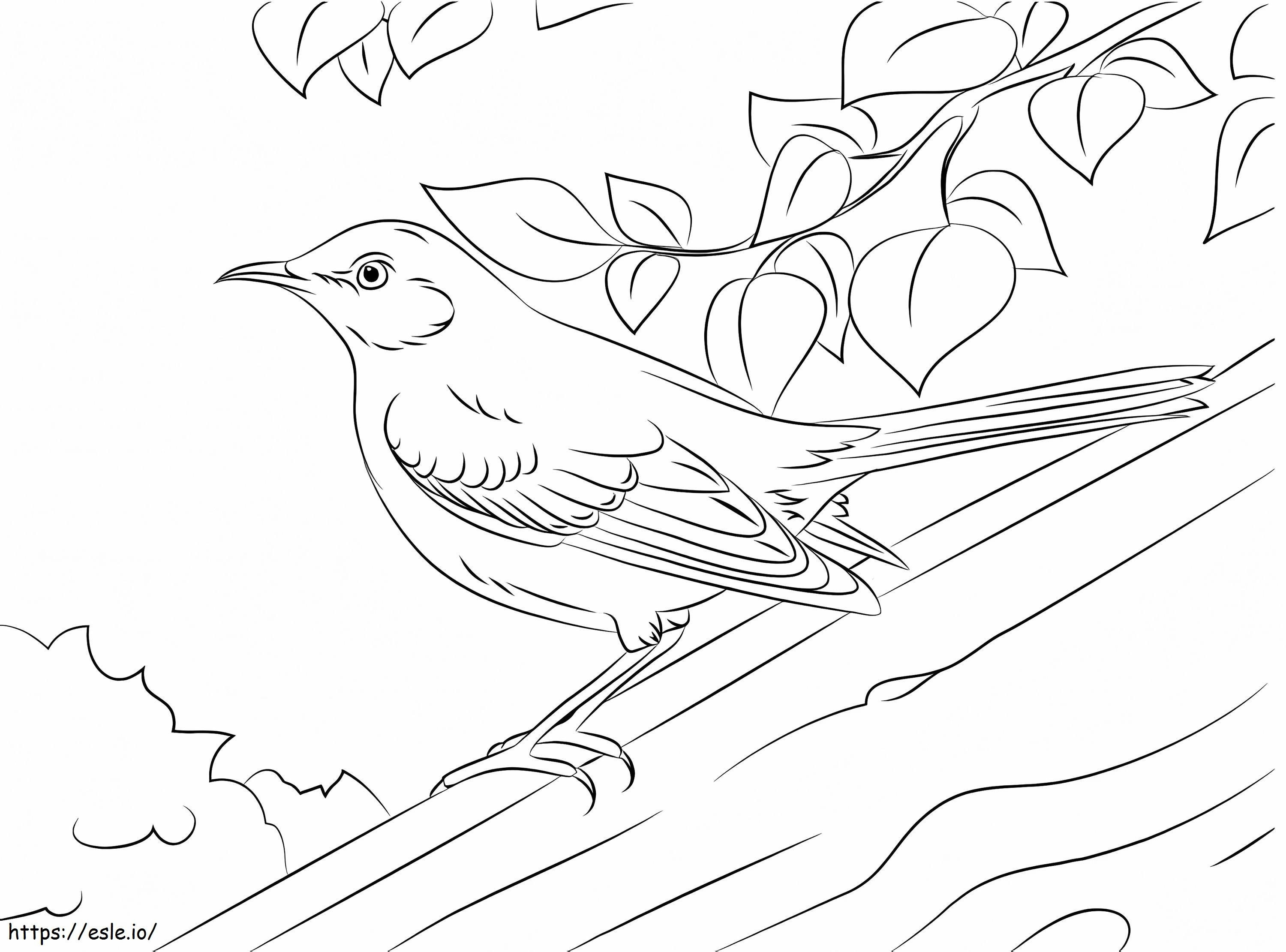Nightingale On Tree Trunk coloring page