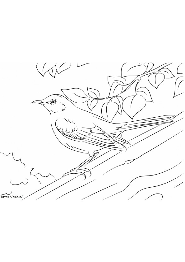 Nightingale Di Batang Pohon Gambar Mewarnai