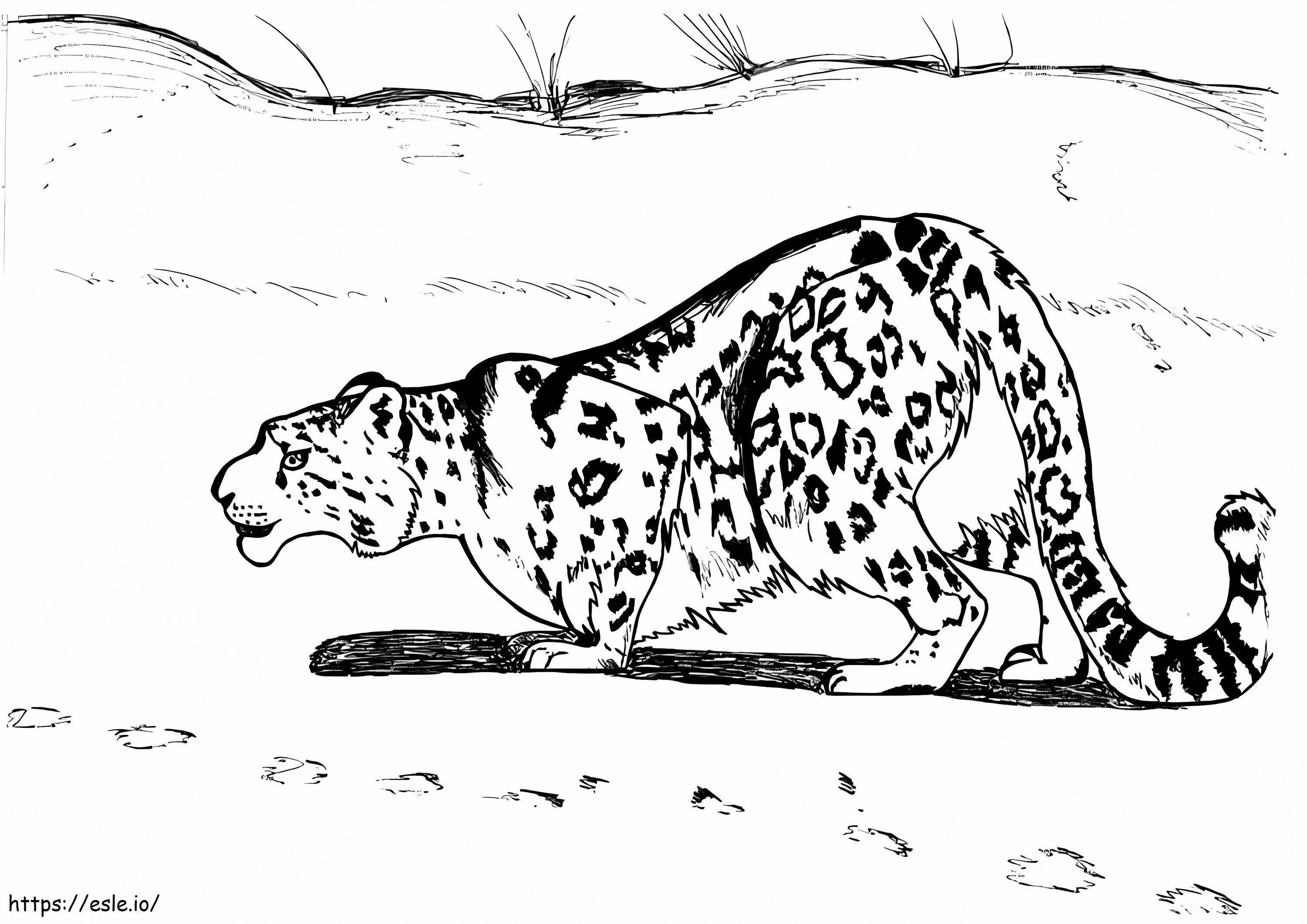 Coloriage Chasse au léopard des neiges à imprimer dessin