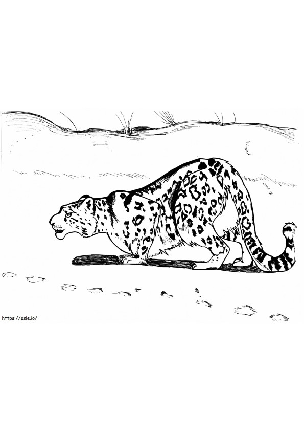 Snow Leopard Hunting coloring page