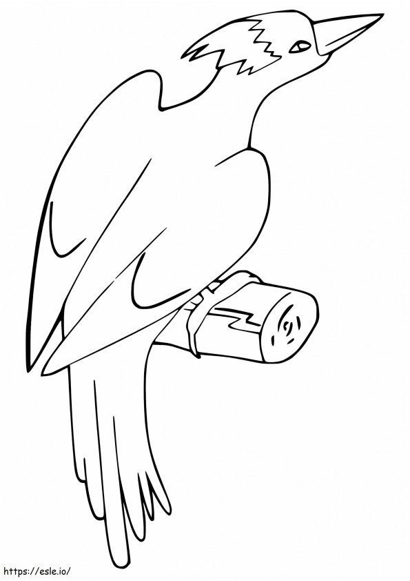 Woodpecker On A Tree Branch coloring page