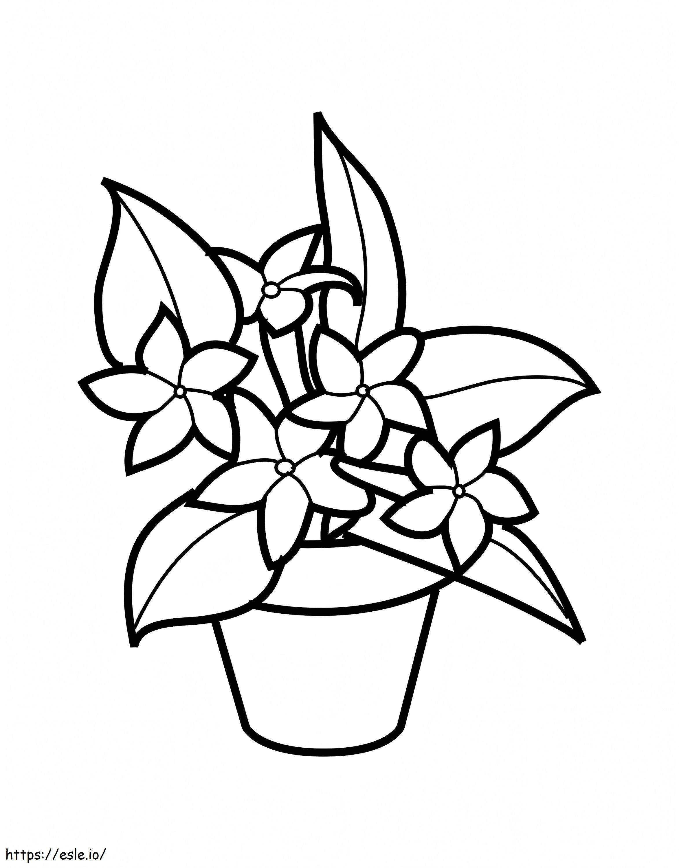 Flowers In A Pot coloring page