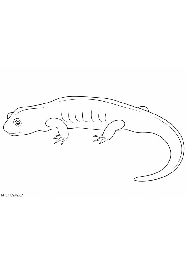 Coloriage Salamandre normale à imprimer dessin