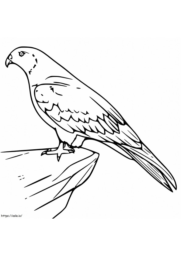 Drachenvogel auf einem Felsen