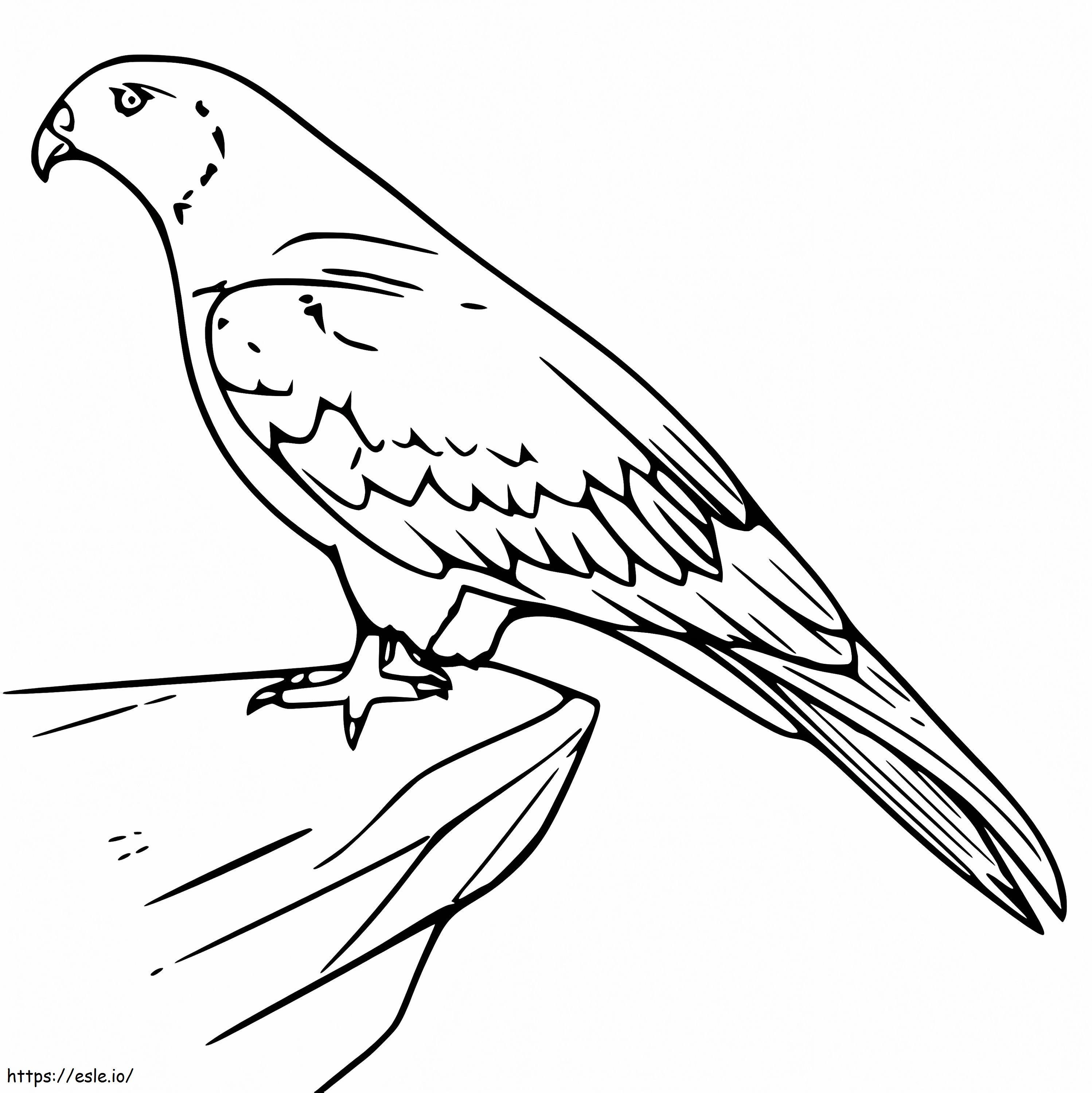 Drachenvogel auf einem Felsen ausmalbilder