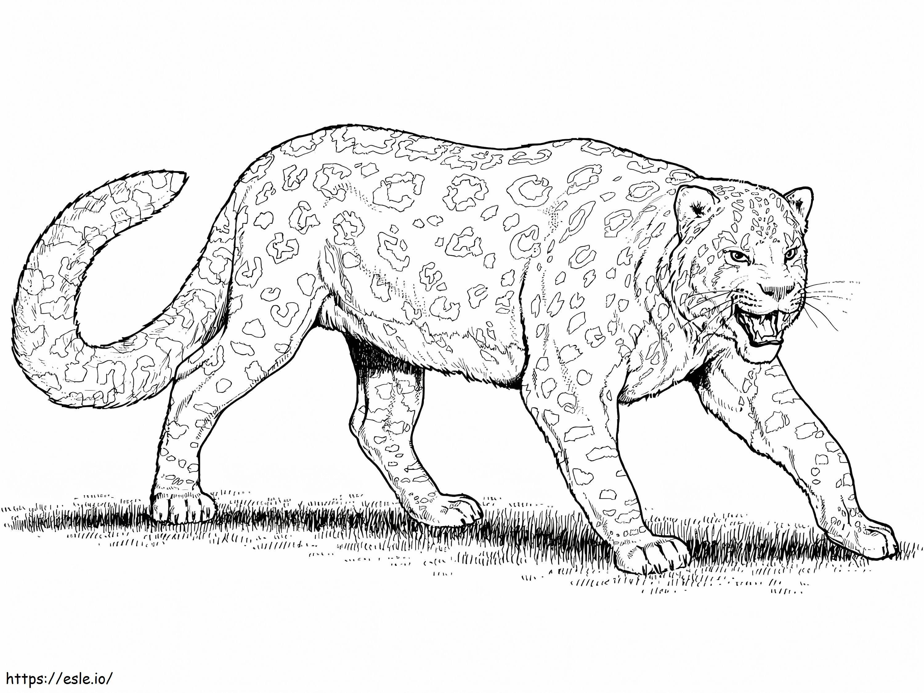 Großer Leopard ausmalbilder