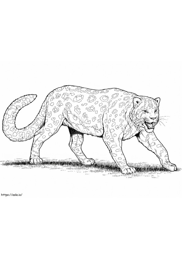 Grande Leopardo da colorare