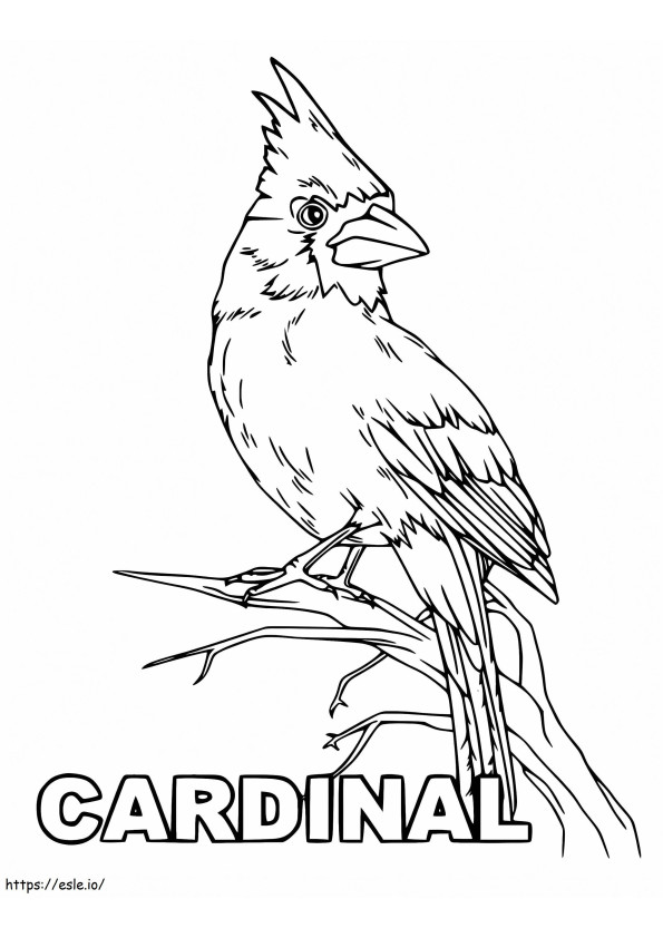Cardinal Bird Printable de colorat