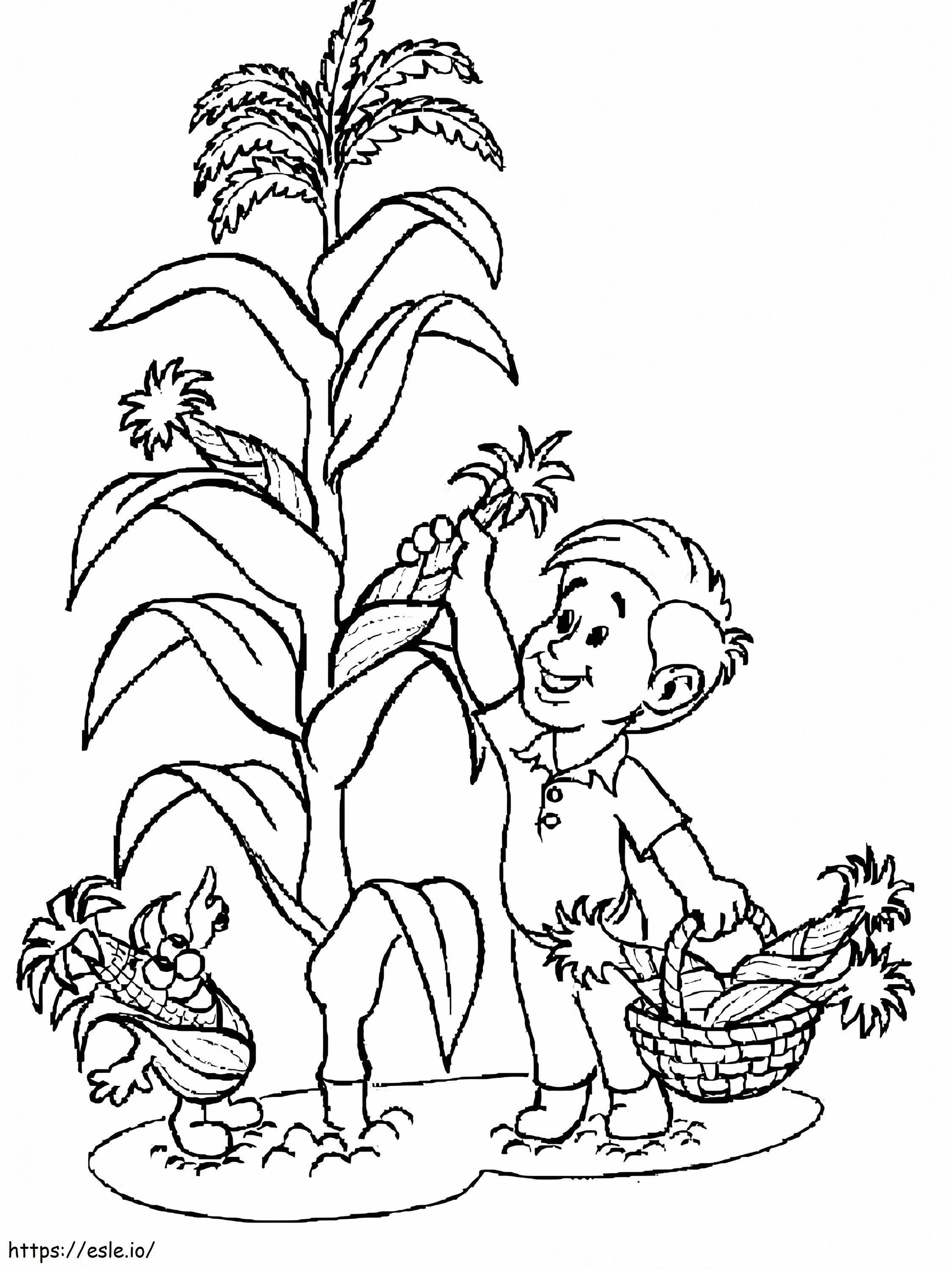 Der Junge pflückt Mais zum Färben ausmalbilder