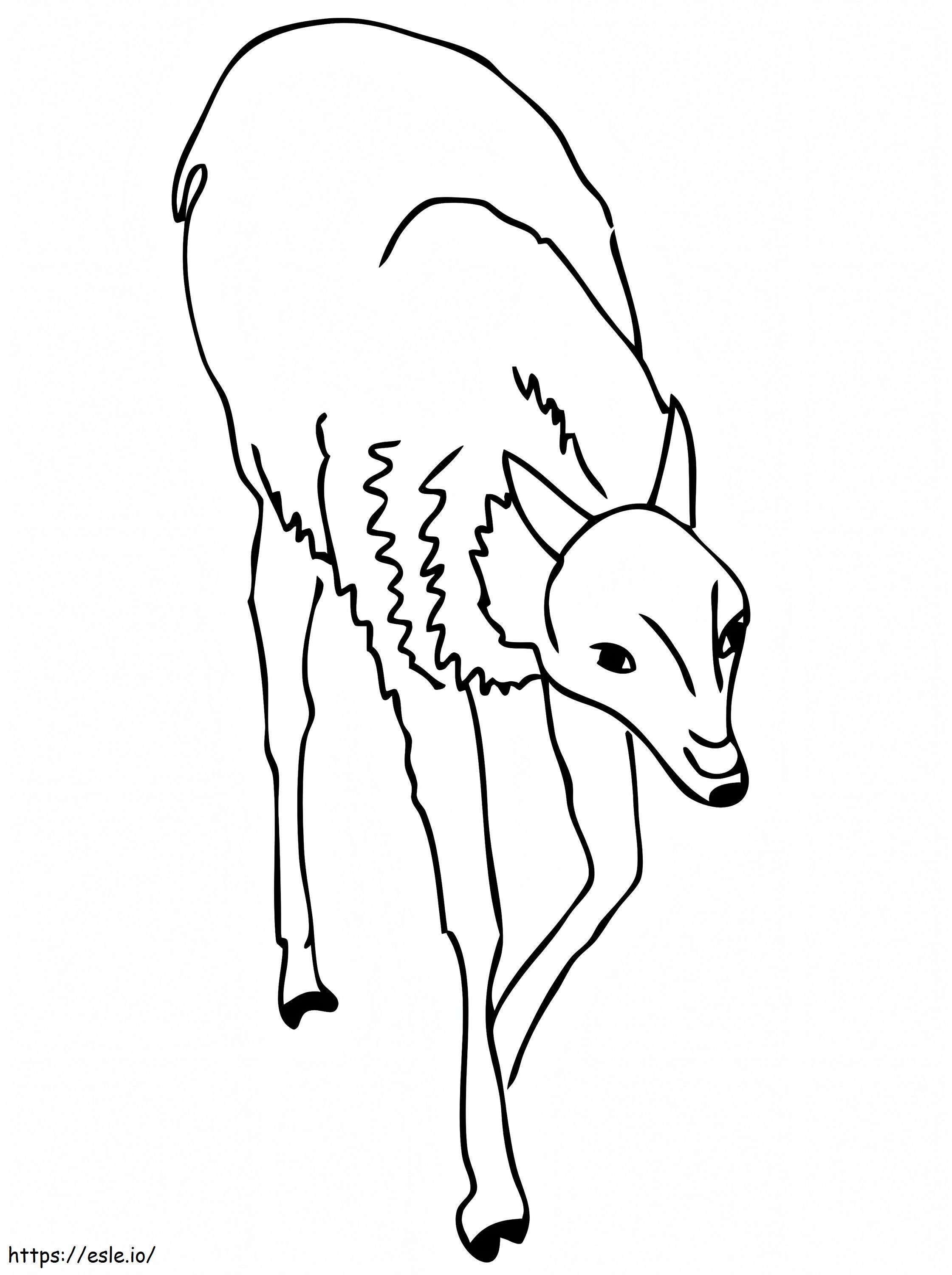 Guanaco Coloring Page | Free Printable Andean Camelid
