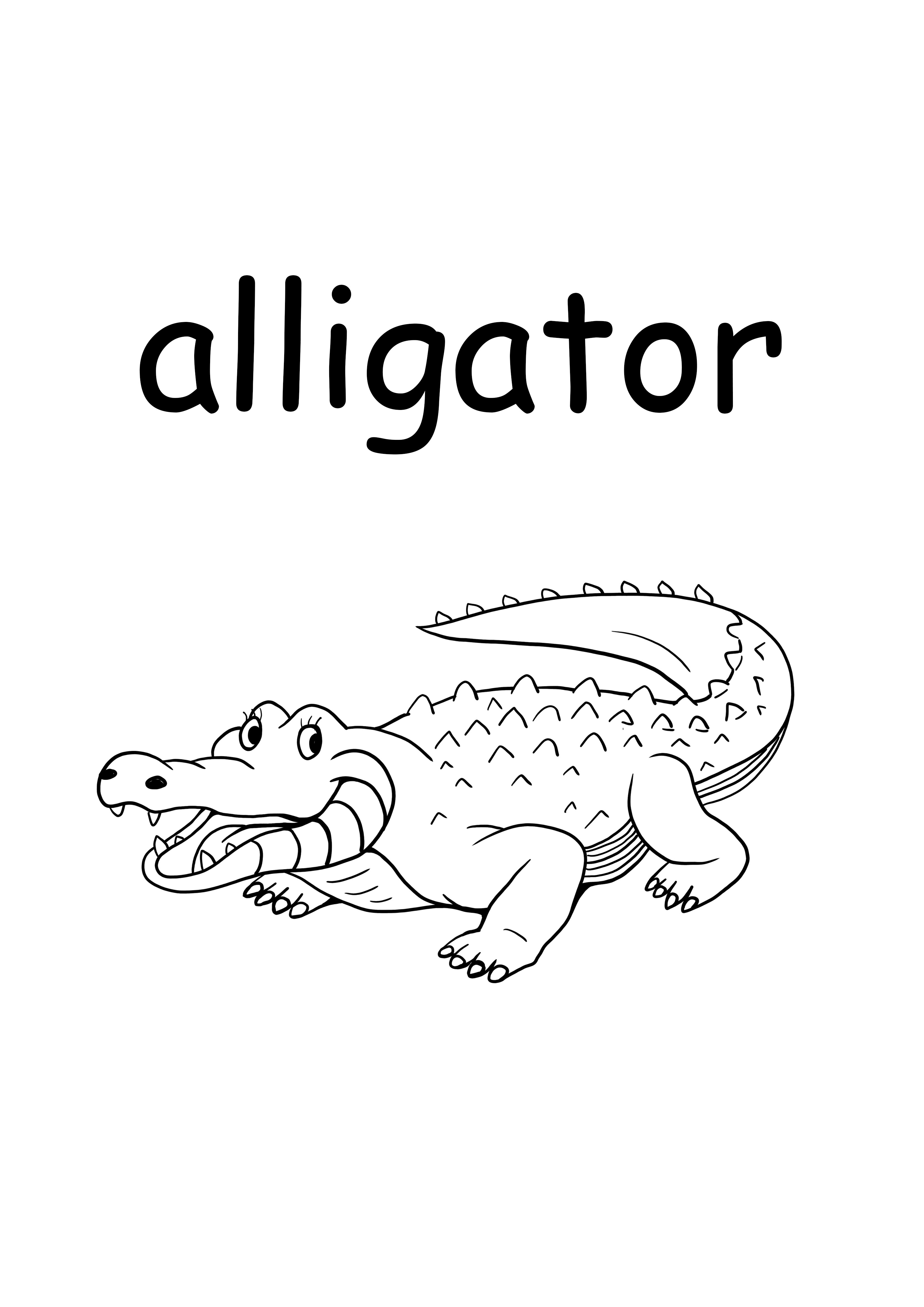 a dla aligatora małe słowo bez słowa kolorowanie i drukowanie