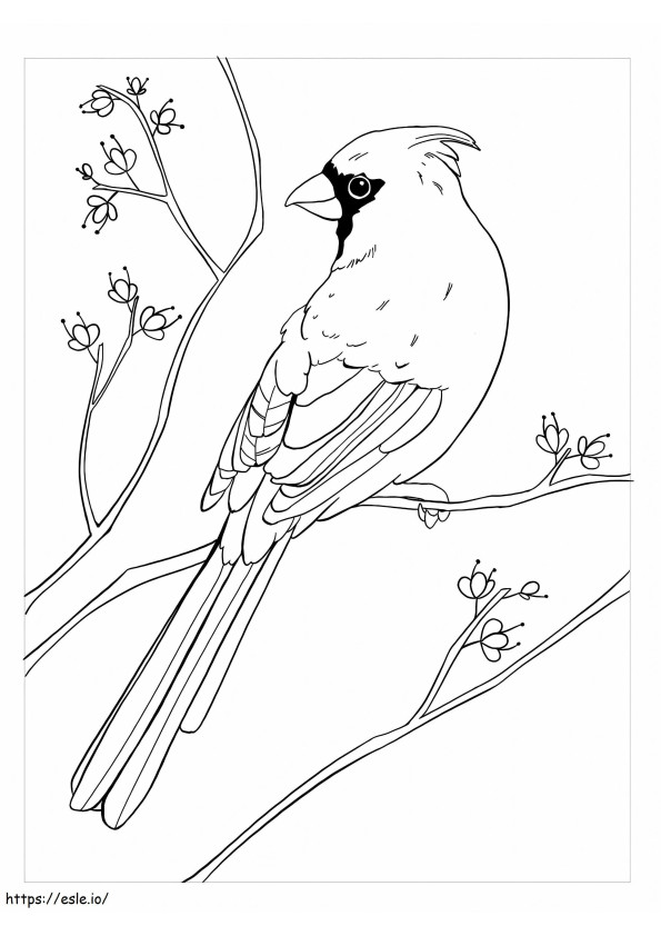 Cardinal Pleasant coloring page