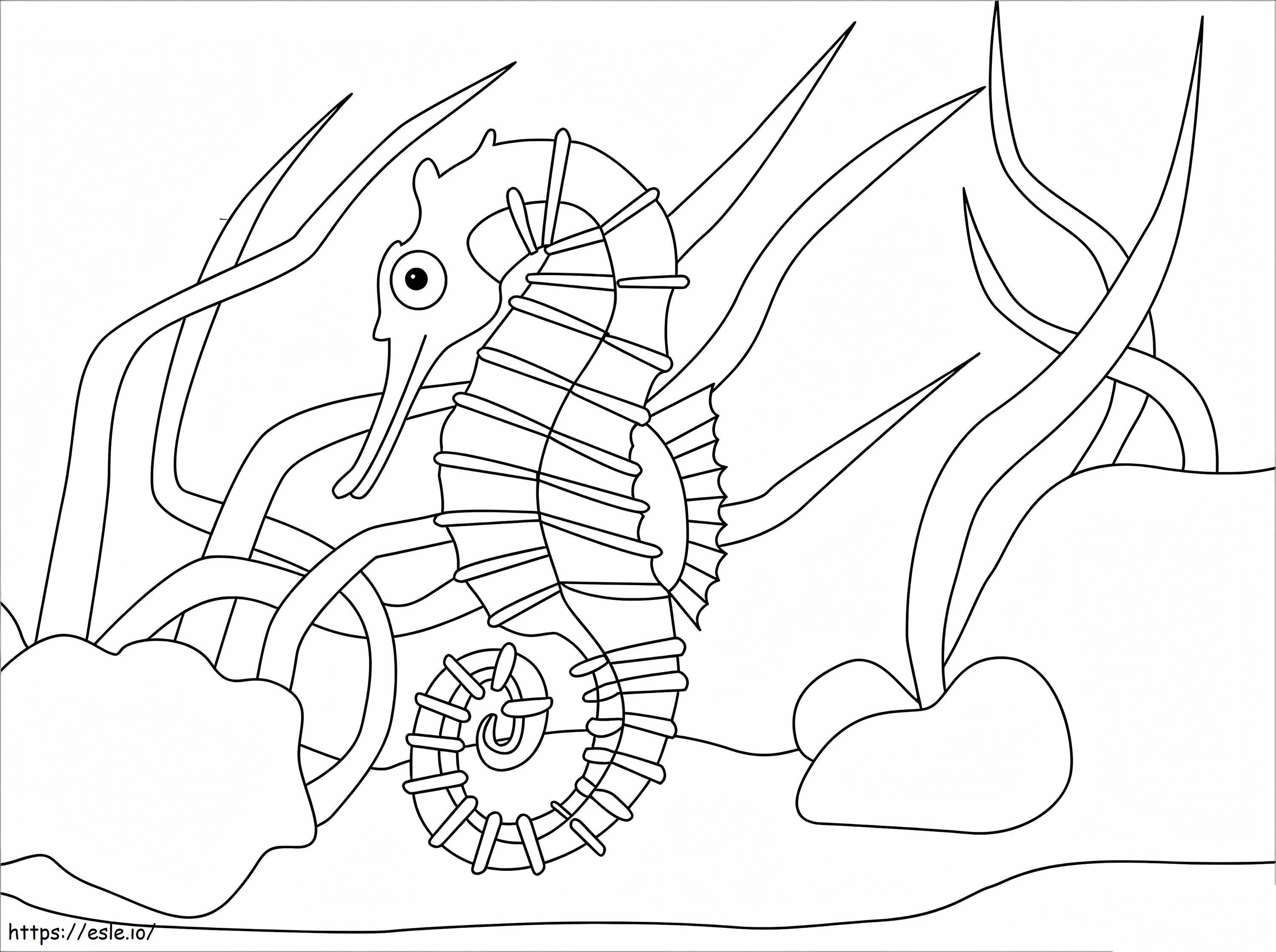 Coloriage Hippocampe drôle à imprimer dessin