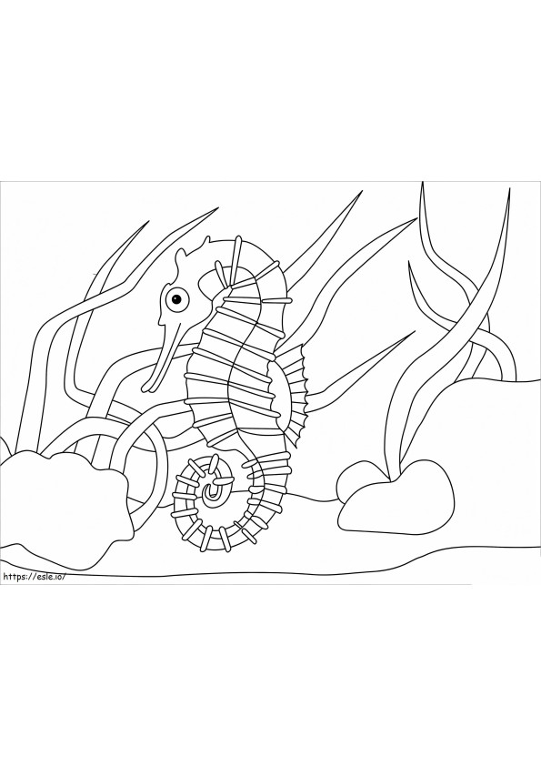 Coloriage Hippocampe drôle à imprimer dessin