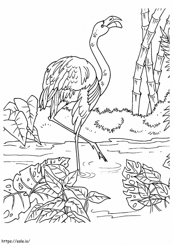 Flamingo com bela paisagem para colorir