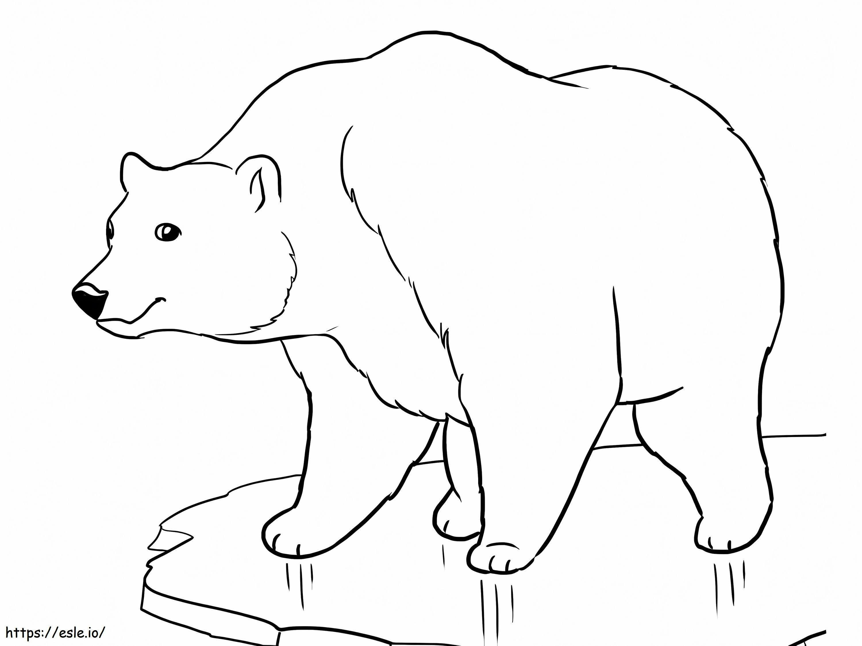 Beruang Es Berdiri Di Atas Es Gambar Mewarnai