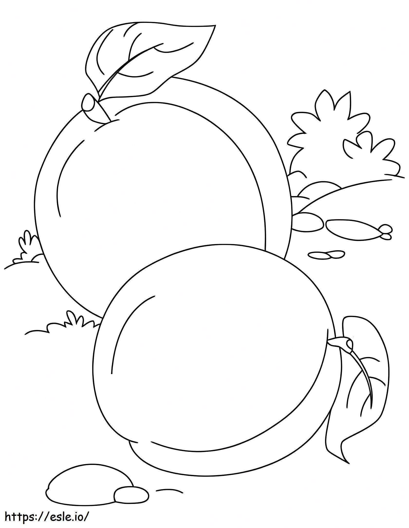 Two Basic Apricots coloring page